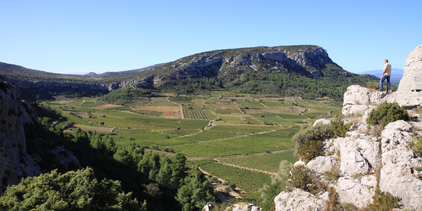 Domaine des chênes - Domaine des Chênes
